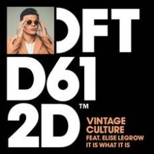 VintageCultureItiswhatitis300669 VintageCultureItiswhatitis300669